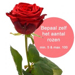 zeil Grommen Magnetisch Rozen per stuk - via 123BloemenBestellen.nl