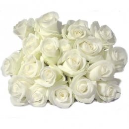 20 witte Avalanche Rozen