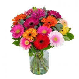 Gerbera Mix Boeket