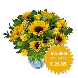 Beste Deal 2 - incl vaas