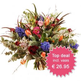 Beste Deal 6 - incl vaas