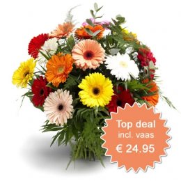 Beste Deal 3 - incl vaas