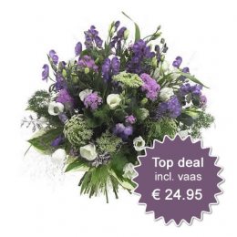 Beste Deal 1 - incl vaas
