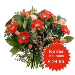 Beste Deal 4 - incl vaas