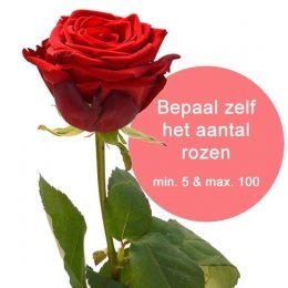 Publicatie gespannen suspensie Anoniem Bloemen Bestellen | 100% Anoniem Bezorgen | 123BloemenBestellen.nl