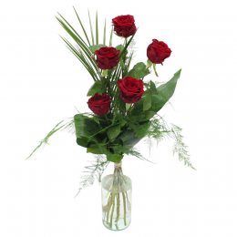 Red Naomi rozen 5 stuks