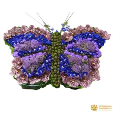 Vlinder blauw - paars