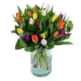 Hollandse tulpen mix