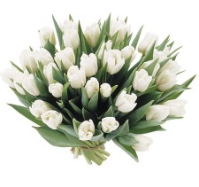 Tulpen boeket wit