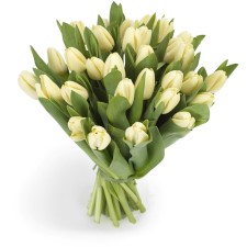 Tulpen boeket creme