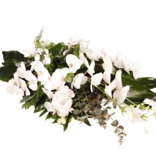 White Orchidee druppelvorm